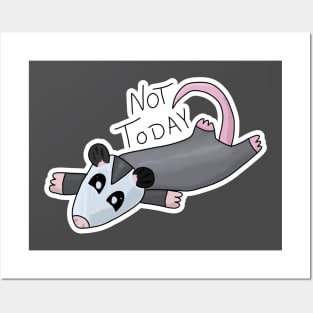 Not Today Opossum Posters and Art